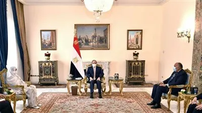 عاجل.. السيسي: موقف مصر من أزمة سد النهضة ثابت