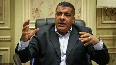 رئيس لجنة الصناعة: الوزيرة وعدت بتقديم حلول لإنقاذ قطاع الأسمنت 