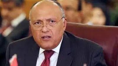 وزير الخارجية: مصر على أتم الاستعداد لبذل كل الجهود لعودة اليمن سعيدا كما كان