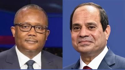 السيسي يؤكد استعداد مصر لتقديم الدعم الممكن لترسيخ استقرار غينيا بيساو