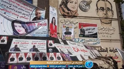 هيئة قضايا الدولة توافق على الإشراف القضائي لانتخابات 