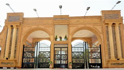 بعد انضمامها لأفضل 100 عالميا.. جامعة المنصورة: اهتمامنا ليس بـ