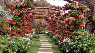 الزراعة: 223 عارض يشاركون في 