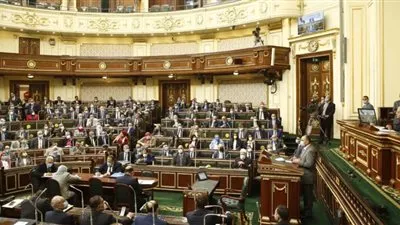 البرلمان يقف دقيقة حداد على روح اللواء كمال عامر 