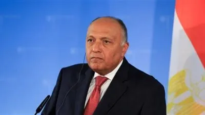 وزير الخارجية من البرلمان: الجماعات الإرهابية تستخدم آلة اعلامية قوية تستهدف استقرار مصر  