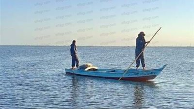 الليلة.. السيدات الصيادات 