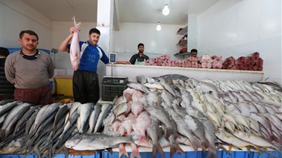 اسعار جميع أنواع الأسماك بالسوق المصري اليوم الخميس 18-3-2021