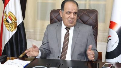 مهنى : المنظمات الغير حقوقية تغض أبصارها عن الإرهاب في سيناء 