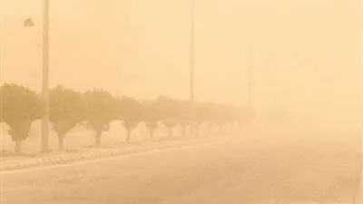 أمطار ورياح مثيرة للأتربة.. الأرصاد تُحذر من طقس الغد