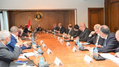 وزيرة الصناعة: حريصون على النهوض بقطاع الأخشاب للحد من الاستيراد