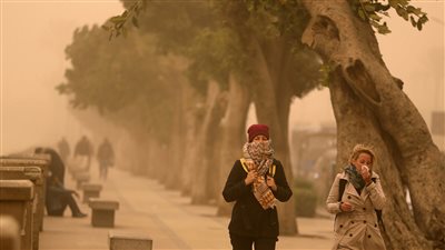 بسبب منخفض جوي.. الأرصاد والبيئة يحذران من رياح مثيرة للرمال والأتربة خلال ساعات