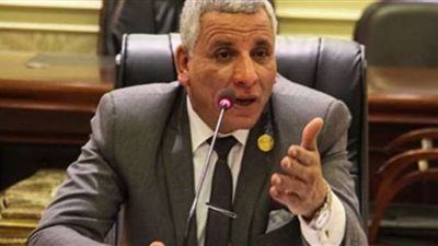 برلماني: سنضرب بيد من حديد كل من تسول له نفسه زيادة الأسعار