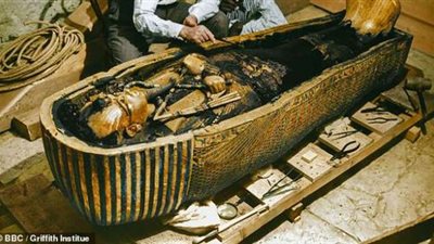 خبير أثري يكشف عن سبب انتشار مصطلح 