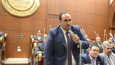 نائب بالشيوخ يشيد بتعويم السفينة الجانحة: إرادة المصريين قهرت الصعب والمستحيل