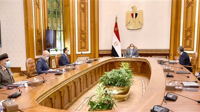 لتنمية سيناء وتطوير قرى الريف.. نشاط مكثف للسيسي على مدار اليوم