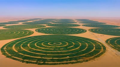 الزراعة: مشروع الدلتا الجديد يحقق الأمن الغذائي للشعب المصري في عامين فقط 