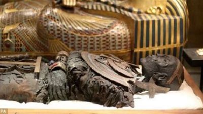 تعرف على تفاصيل وبداية فكرة نقل المومياوات الملكية