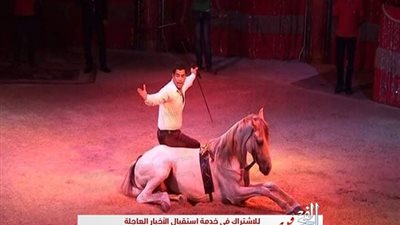 قريبا.. عودة الروح لسيرك 