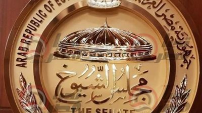 رئيس مجلس الشيوخ يعلن أسماء ممثلى 6 هيئات برلمانية 