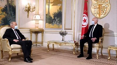 أبو الغيط يلتقي الرئيس التونسي في قصر قرطاج