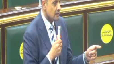 برلماني يطالب بإنهاء مشكلة العاملين على الصناديق الخاصة.. وتثبيت عمال التشجير  