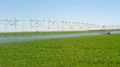 عميد زراعة عين شمس: الدلتا الجديدة كلها فوائد وخطوة لتحقيق الاكتفاء الذاتي