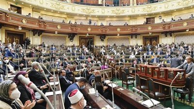 برلمانية: مصر تمتلك أدوات القوة لمواجهة إثيوبيا في معركة سد النهضة 