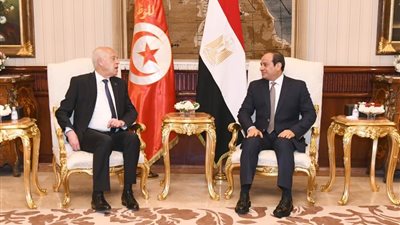 لقاء الرئيس التونسي وعزاء لبريطانيا.. أبرز أنشطة السيسي على مدار اليوم