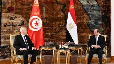 تطورات القضية الليبية وسد النهضة.. تفاصيل مباحثات السيسي ونظيره التونسي