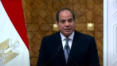 السيسي: تم تناول عدد كبير من الموضوعات مع الرئيس التونسي