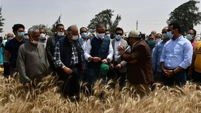 محافظ الفيوم يتفقد حصاد 