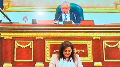 وزيرة التخطيط: 7.1 تريليون جنيه الناتج الـمحلي الإجمالي بخطة العام المالي 2021/2022