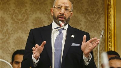 برلماني: زيارة 