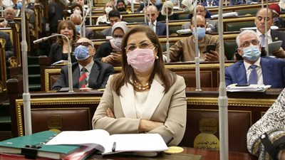  وزيرة التخطيط: خطة تنمية الأسرة تستهدف الارتقاء بحياة المواطن