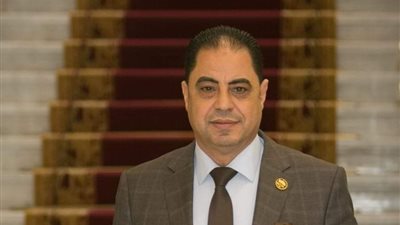 برلماني: ذكرى تحرير سيناء تعكس عبقرية العسكرية المصرية في استرداد الأرض 