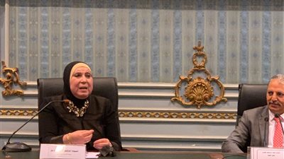 نيفين جامع: توفير فرص العمل للشباب على رأس أولويات الحكومة