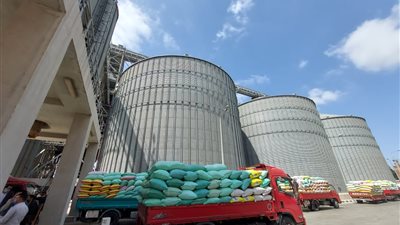 توريد ٢٦ ألفا و٤٦٠ طن قمح لصوامع وشون البحيرة