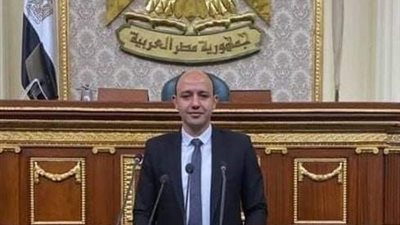 برلماني: مصر حققت طفرة غير مسبوقة في التنمية الشاملة بسيناء