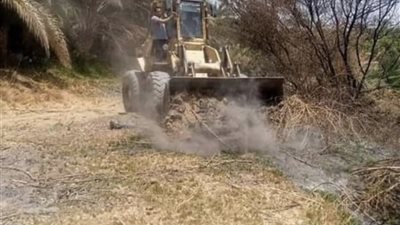 الري: تنفيذ 17 إزالة بإجمالي مساحة 32730 كيلو متر بكوم أمبو 