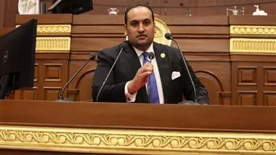 النائب محمد الرشيدي يهنئ السيسي بعيد العمال: دام دعمك لهم