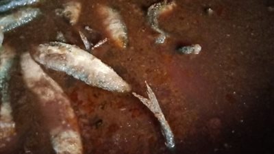 ضبط ١٢٥ كيلو 