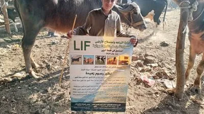 الزراعة: حملة توعية بضرورة التأمين على الثروة الحيوانية في أكبر أسواق الماشية بالمنوفية 