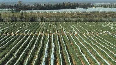 تقرير دولي: 20 مليون شخص واجهوا أزمات غذاء في 2020