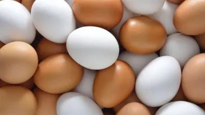 الزراعة: تصدير بيض تفريخ تسمين إلى دولة الإمارات العربية لأول مرة