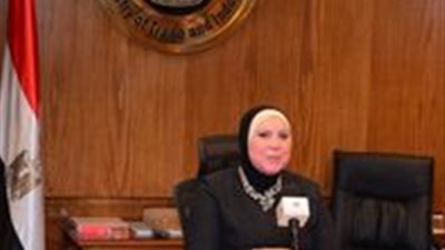 وزيرة التجارة تصدر قراراً باللائحة التنفيذية لقانون هيئة التنمية الصناعية