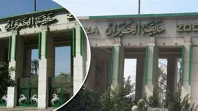 13 معلومة عن أول وحدة غاز حيوي بحديقة الحيوان بالجيزة