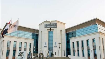 مميزات جديدة لمتحدي الإعاقة على خطوط الهاتف المحمول.. اعرفها (فيديو)