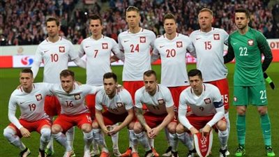 ضربة موجعة لمنتخب في بولندا قبل منافسات اليورو