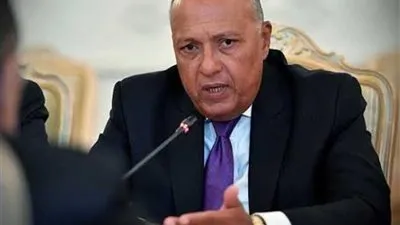 وزير الخارجية: لا سلام بالمنطقة دون إيجاد حل عادل ومستدام للقضية الفلسطينية