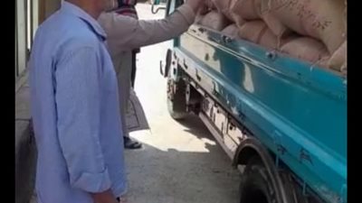 الزراعة: استمرار العمل بمحطات التقاوي على مستوى الجمهورية في ثالث ايام العيد